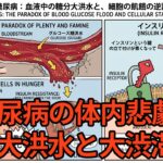 【糖尿病の真実】病院のお薬で治ると思っていませんか？自分で治す３つの行動！