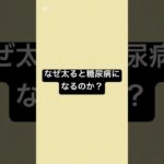 なぜ太ると糖尿病になるのか？ #薬剤師 #糖尿病 #薬 #ダイエット #血糖値