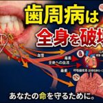 歯周病と様々な病気（心疾患、アルツハイマー病、糖尿病、早産、関節リウマチ、呼吸器疾患）について。