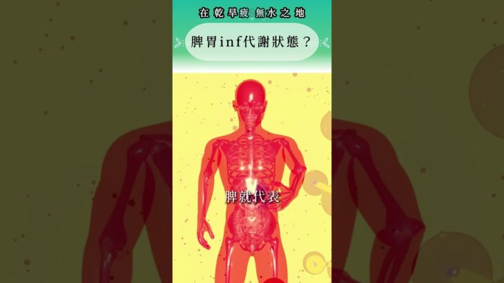 濕氣重、代謝差、血糖高？糖尿病其實跟脾胃有關？！中醫揭開血糖失控原因