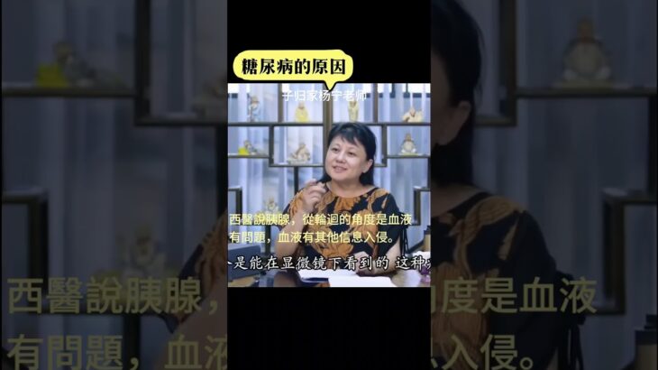 糖尿病的原因:西醫說是胰腺。從輪迴的角度是血液有問題，血液有其他信息入侵#子归家#杨宁老师#糖尿病#血液病#实修实证#解脱#明心见性#禅修#静坐#一体#因果#空性#遗传#圆觉#佛学#佛法#觉醒#如来