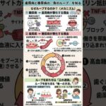 歯周病と糖尿病が突きつける「不都合な現実」。歯ぐきの汚れが膵臓を壊し、高血糖が身体を蝕むという残酷な相互依存の真実