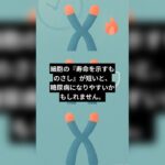 細胞の『寿命を示すものさし』が短いと、糖尿病になりやすいかもしれません。