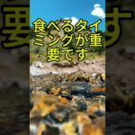 糖尿病を招く食後の生活習慣????,血糖値 ,血糖コントロール ,健康習慣 ,食後習慣 ,糖尿病予防,ダイエット ,健康情報 ,生活習慣 ,健康管理 ,食事管理,血糖値対策 ,ヘルスケア ,健康知識