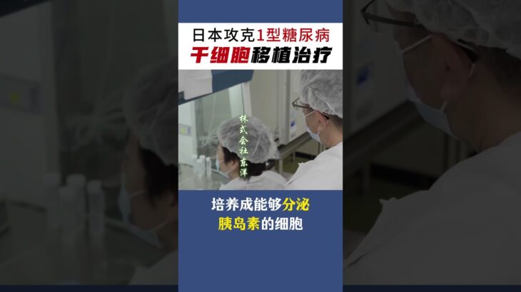 终身打胰岛素的时代，会结束吗？这一次，是干细胞。日本完成全球首例1型糖尿病自体脂肪干细胞移植治疗，首位患者已顺利出院。再生医疗，正在改写未来。#一型糖尿病 #干细胞 #糖尿病