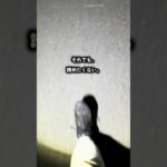 糖尿病を1年半放置した結果【ウォーキングしてきた】