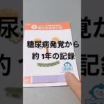 糖尿病発覚から1年間の記録