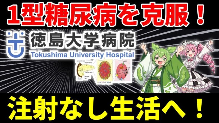 徳島大学が世界初挑戦！1型糖尿病がインスリンなしで快適生活に変わる？【ずんだもん&四国めたん解説】