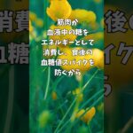 食後10分の散歩で糖尿病リスクが激減？ #健康 #やせる #shorts