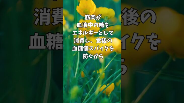 食後10分の散歩で糖尿病リスクが激減？ #健康 #やせる #shorts