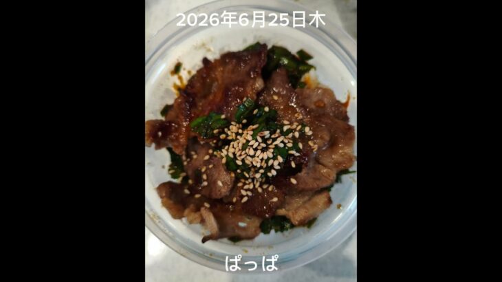 #糖尿病弁当#時短10分#パパ弁当#4食弁当#ニラ牛カルビ弁当#shorts