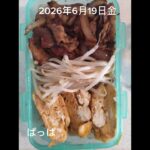 #糖尿病弁当#時短10分#パパ弁当#豚肉と玉ねぎの生姜焼き弁当#shorts