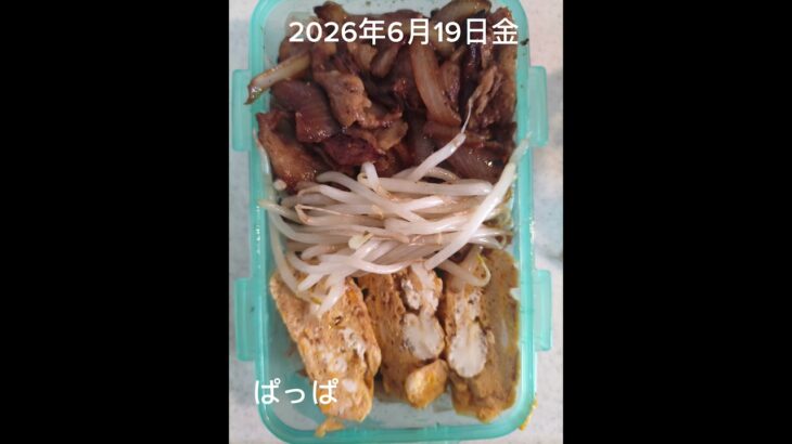 #糖尿病弁当#時短10分#パパ弁当#豚肉と玉ねぎの生姜焼き弁当#shorts