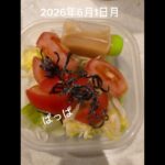 #糖尿病弁当#冷凍弁当#時短10分#パパ弁当#カルビ焼肉弁当#shorts