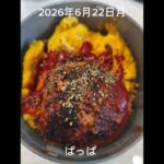 #糖尿病弁当#時短10分#パパ弁当#オムそばハンバーグ弁当#ズッキーニと牛カルビ弁当#shorts