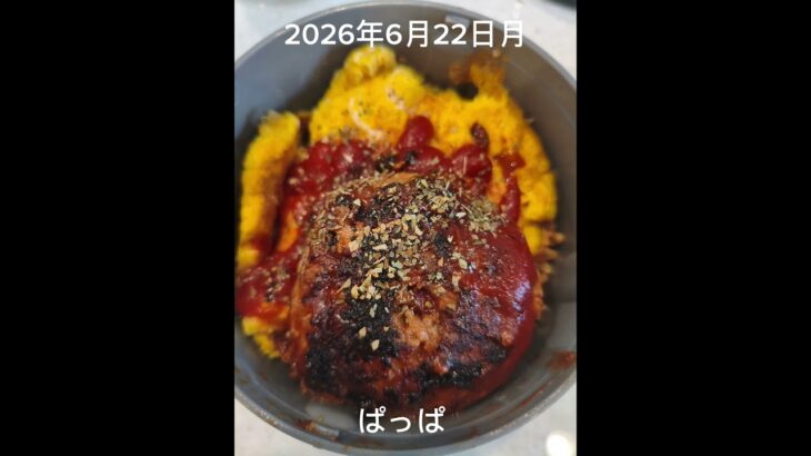 #糖尿病弁当#時短10分#パパ弁当#オムそばハンバーグ弁当#ズッキーニと牛カルビ弁当#shorts