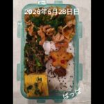 #糖尿病弁当#時短10分#パパ弁当#豚バラ長ネギのコチュジャン炒め#牛カルビとズッキーニの焼肉弁当#shorts