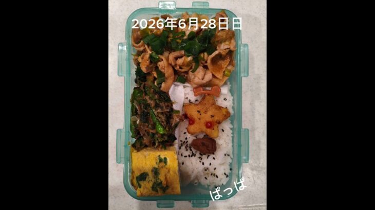 #糖尿病弁当#時短10分#パパ弁当#豚バラ長ネギのコチュジャン炒め#牛カルビとズッキーニの焼肉弁当#shorts