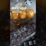 残ってたみたらし団子食べた糖尿病の品格1207日目
