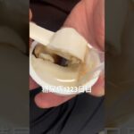 ジーマミー豆腐食べた糖尿病1223日目