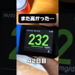 糖尿病を1年半放置した結果【42日目】