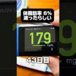 糖尿病を1年半放置した結果【43 #ダイエット 日目】