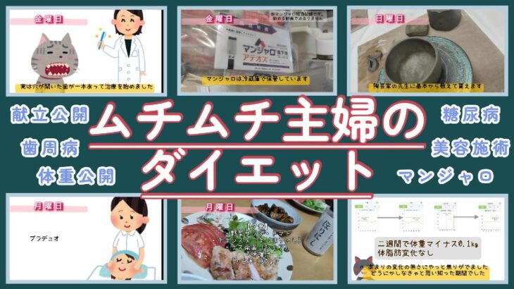 16.【糖尿病‐マンジャロだったり歯周病だったり日常生活のこと】ムチムチ主婦のダイエット