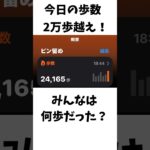 17日目 ポケモンGOで糖尿病を治したい！！！(迫真)  2026/06/10