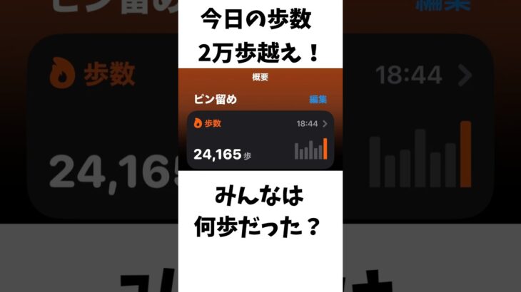 17日目 ポケモンGOで糖尿病を治したい！！！(迫真)  2026/06/10