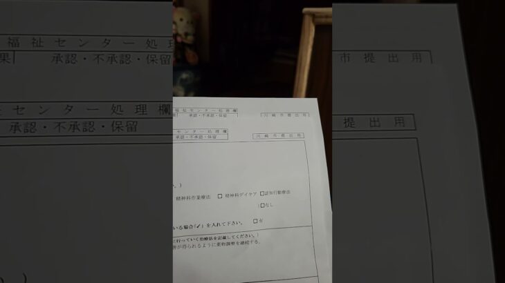 糖尿病、不眠症、他にもあるのですが全ては書かれていませんでした。そんなものなのかな…？因みに2枚共提出して下さいとの事でした