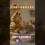 22歲糖尿病老貓能痊愈嗎？ #catdrama #cat #catmusic #糖尿病 #老貓拼命￼生存 #老貓