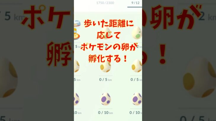 【28日目】1万歩以上歩いてたまごを孵化させまくる！ポケモンGOで糖尿病を治したい！！！(迫真)  2026/06/20