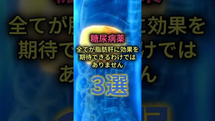 糖尿病薬。全てが脂肪肝に効果を期待できるわけではありません、3選 #脂肪肝 #MASLD #糖尿病 #糖尿病治療 #メトホルミン #SU剤 #インスリン #肝臓 #生活習慣病 #shorts