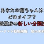 猫の糖尿病を4つの軸で考える