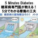 5 Minutes Diabetes Vol.12  糖尿病の薬物療法①メトホルミン　Metformin: The Foundation of Diabetes Treatment