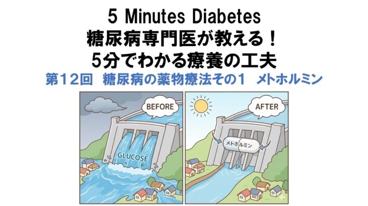 5 Minutes Diabetes Vol.12  糖尿病の薬物療法①メトホルミン　Metformin: The Foundation of Diabetes Treatment