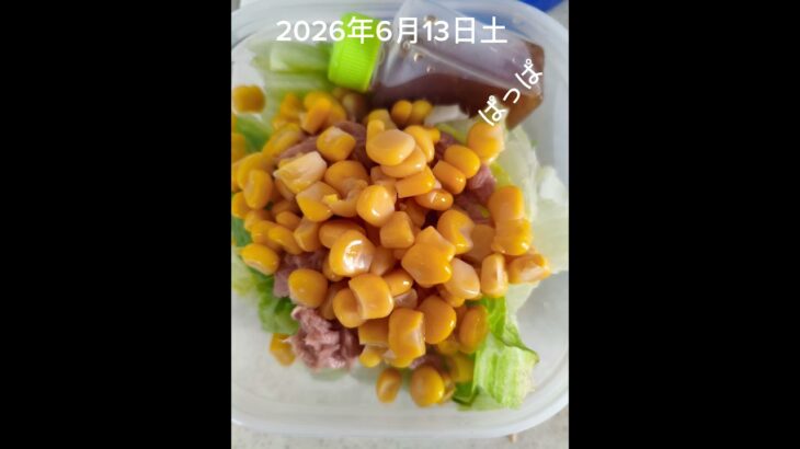 #糖尿病弁当#時短5分#パパ弁当#冷凍そばめし弁当#shorts
