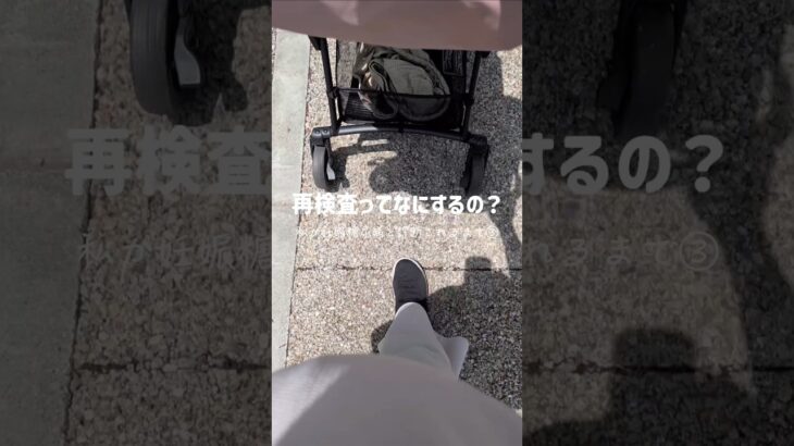私が妊娠糖尿病と診断されるまで③ #妊娠糖尿病 #双子 #妊娠8ヶ月 #食事管理 #マタニティ #妊娠後期 #shorts