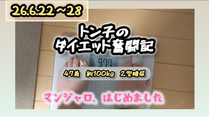 【糖尿病】トン子のダイエット奮闘記⑰【体重98.6k/脂47.7】