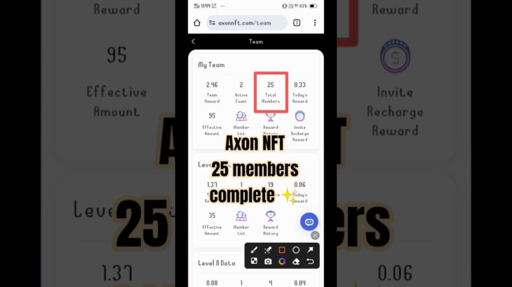 Axon NFT My Team Members ✨