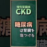 CKDと糖尿病って関係あるの？