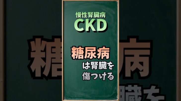 CKDと糖尿病って関係あるの？