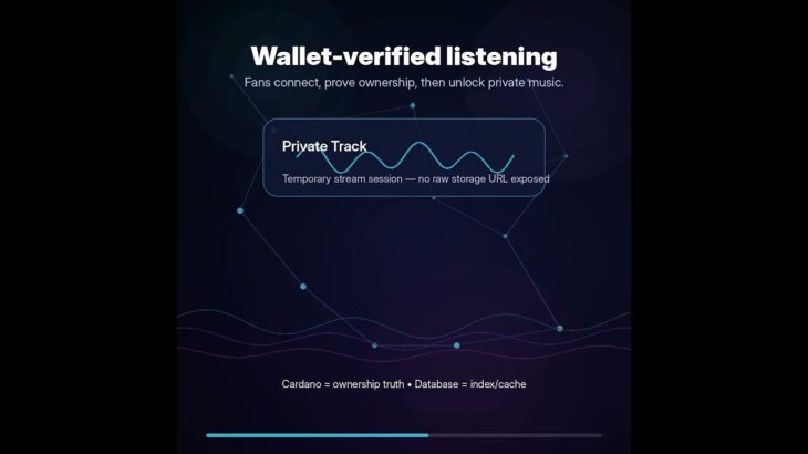 Customized NFT platform for singers MusicNFT #collectibles   #Cardano #NFT