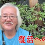 【#糖尿病 #闘病記】DAY773 白いカーネーション【#散歩】2026年6月21日の記録