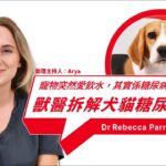 寵物糖尿病懶人包：徵兆、護理同併發症 Dr. Rebecca Parry | 寵物糖尿病的早期外觀變化與徵兆 | 如何在家處理緊急低血糖狀況 | 每年定期獸醫檢查