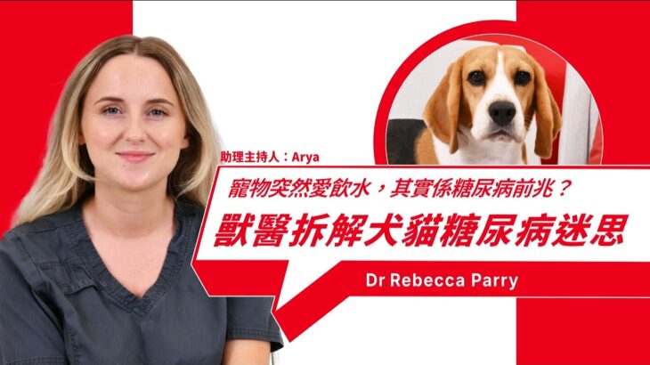 寵物糖尿病懶人包：徵兆、護理同併發症 Dr. Rebecca Parry | 寵物糖尿病的早期外觀變化與徵兆 | 如何在家處理緊急低血糖狀況 | 每年定期獸醫檢查