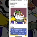How to buy an NFT on Binance #nft #binance #fyp