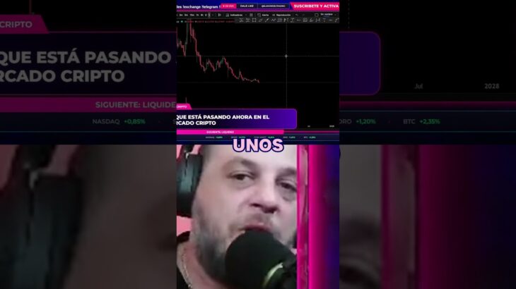 Los Crypto Patos de Polygon que iban a cambiar el mundo 🦆