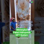 Merangkai Paket Hidroponik NFT System #NFT #amirulfarming #hidroponik #berkebun #fyp #fypシ #fypppppp