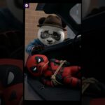 NEW HERO “Panda TRAINER”